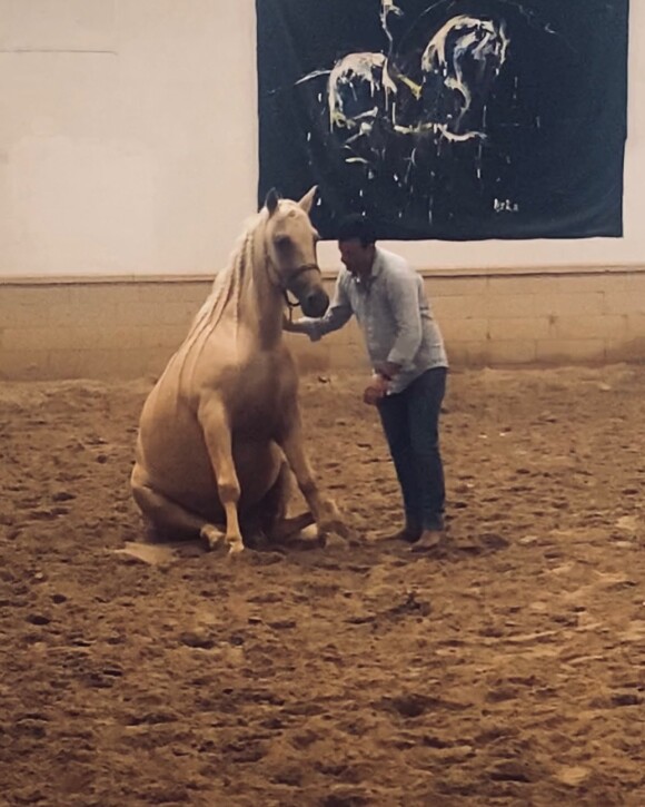 Vincent, ancien candidat de "L'amour est dans le pré"