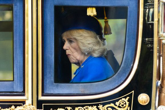 Le roi Charles III d'Angleterre, Camilla Parker Bowles, reine consort d'Angleterre - La famille royale et le gouvernement du Royaume Uni lors de la cérémonie d'accueil du président de l'Afrique du Sud, en visite d'état à Londres, Royaume Uni, le 22 novembre 2022. 
