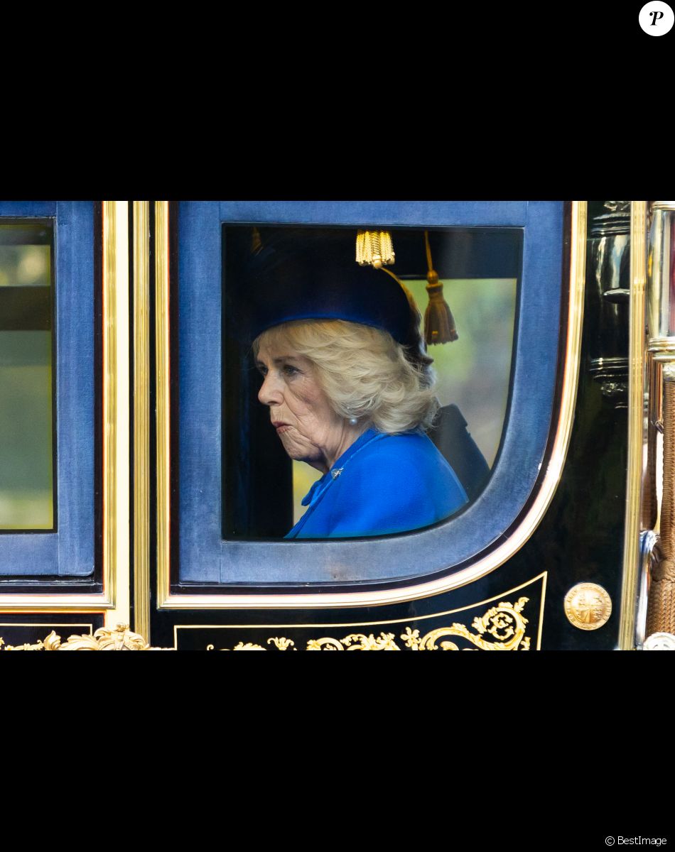 Le roi Charles III d'Angleterre, Camilla Parker Bowles, reine consort d'Angleterre - La famille royale et le gouvernement du Royaume Uni lors de la cérémonie d'accueil du président de l'Afrique du Sud, en visite d'état à Londres, Royaume Uni, le 22 novembre 2022.