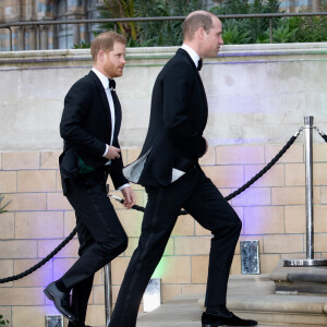 Le prince William, duc de Cambridge, le prince Harry, duc de Sussex, à la première de la série Netflix "Our Planet" au Musée d'Histoires Naturelles à Londres, le 4 avril 2019. 