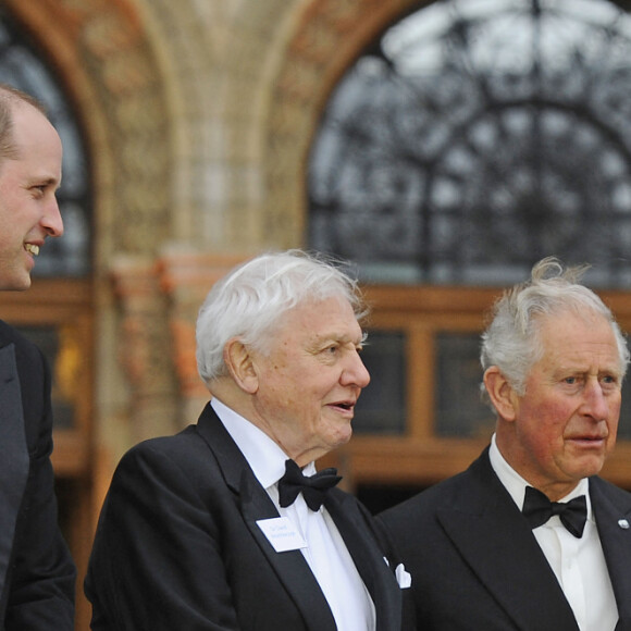 Le prince William, duc de Cambridge, Sir David Attenborough, le prince Charles, prince de Galles, le prince Harry, duc de Sussex, à la première de la série Netflix "Our Planet" au Musée d'Histoires Naturelles à Londres, le 4 avril 2019. 