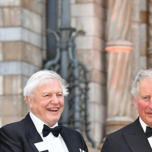 Le prince William, duc de Cambridge, Sir David Attenborough, le prince Charles, prince de Galles, le prince Harry, duc de Sussex, à la première de la série Netflix "Our Planet" au Musée d'Histoires Naturelles à Londres, le 4 avril 2019. 