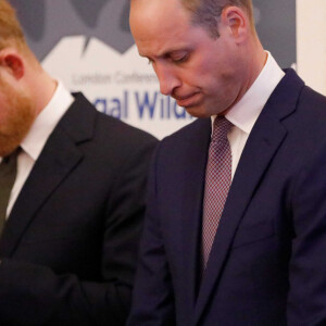 Le prince William, duc de Cambridge, et le prince Harry, duc de Sussex, lors de la conférence "2018 Illegal Wildlife Trade" au palais St James à Londres. Le 10 octobre 2018 