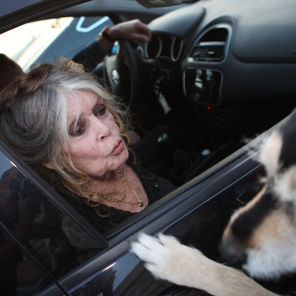 Exclusif - Brigitte Bardot arrive pour poser avec l'équipage de Brigitte Bardot Sea Shepherd, le célèbre trimaran d'intervention de l'organisation écologiste, sur le port de Saint-Tropez, le 26 septembre 2014 en escale pour 3 jours à deux jours de ses 80 ans. Cela fait au moins dix ans qu'elle n'est pas apparue en public sur le port tropézien.