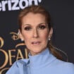 Céline Dion : Ses fans en colère, une célèbre animatrice au sol... Images d'une manif' impressionnante !