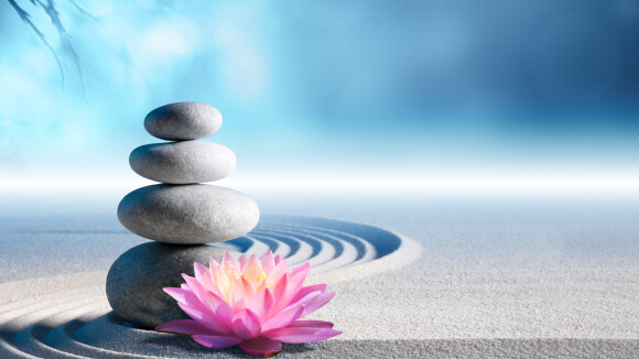 Décoration : apportez de la sérénité à votre intérieur en optant pour un jardin zen !