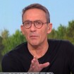 "Ne déformez pas mes propos !" : Julien Courbet accusé en direct de "taper sur les commerçants", échange très tendu