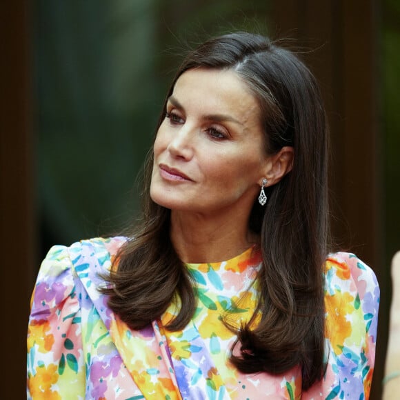 Letizia d'Espagne s'est rendue à Cordoue en Andalousie 
La reine Letizia d'Espagne préside la cérémonie de proclamation du Prix "Arts et Lettres" 2023 à Cordoue, Andalousie, Espagne. La reine Letizia, lors de la visite de certains des projets avant la cérémonie de proclamation du Prix "Arts et Lettres" 2023 de la Fondation Princesse de Gérone (FPdGi), le troisième jour du "Tour del Talento". À la cérémonie d'ouverture du Tour del Talento 2023 à Cordoue, la Reine a rendu visite à certains des projets récents les plus remarquables soutenus par la Fondation. Il s'agit de la présentation de trois initiatives de l'EduLab d'innovation pédagogique du programme " Generation Teachers ", qui ont déjà un impact positif sur la société, avec des objectifs aussi différents que nécessaires : AmplificARTE, Teachers Network for Development et Skill Up. 