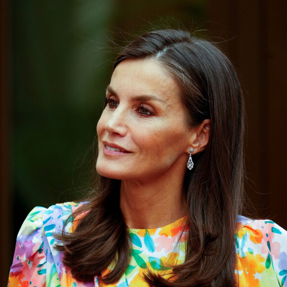 La reine Letizia d'Espagne préside la cérémonie de proclamation du Prix "Arts et Lettres" 2023 à Cordoue, Andalousie, Espagne, le 13 avril 2023. La reine Letizia, lors de la visite de certains des projets avant la cérémonie de proclamation du Prix "Arts et Lettres" 2023 de la Fondation Princesse de Gérone (FPdGi), le troisième jour du "Tour del Talento" le 13 avril 2023. À la cérémonie d'ouverture du Tour del Talento 2023 à Cordoue, la Reine a rendu visite à certains des projets récents les plus remarquables soutenus par la Fondation. Il s'agit de la présentation de trois initiatives de l'EduLab d'innovation pédagogique du programme " Generation Teachers ", qui ont déjà un impact positif sur la société, avec des objectifs aussi différents que nécessaires : AmplificARTE, Teachers Network for Development et Skill Up. 