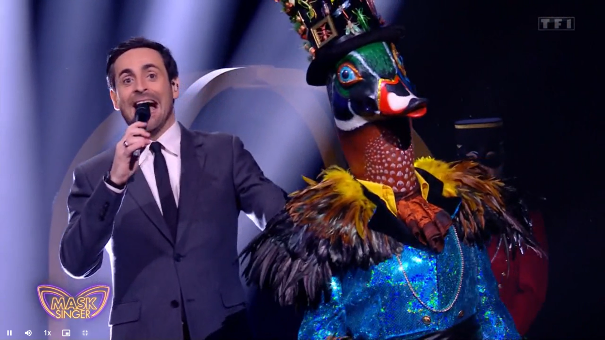 Photo Le Canard Mask Singer Purepeople 5233