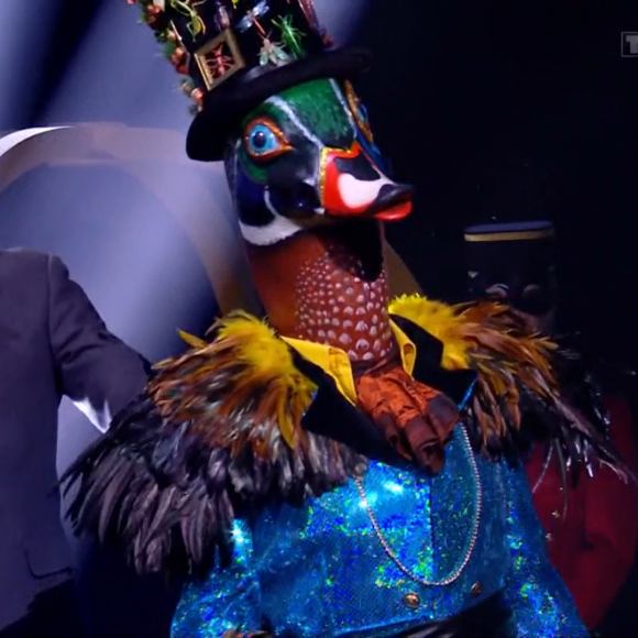 Le canard, "Mask Singer".