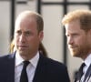 Le prince William était en effet très énervé. 
Le prince de Galles William, le prince Harry, duc de Sussex à la rencontre de la foule devant le château de Windsor, suite au décès de la reine Elisabeth II d'Angleterre. Le 10 septembre 2022 