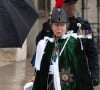 A l'inverse, la princesse Anne a été mise en valeur sur le portrait officiel, pour souligner son implication indéniable pour la firme
La princesse Anne - Les invités arrivent à la cérémonie de couronnement du roi d'Angleterre à l'abbaye de Westminster de Londres, Royaume Uni, le 6 mai 2023.