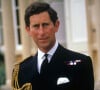 Une amante omniprésente, qui ne plaisait pas à Lady Diana.
Le roi Charles III d'Angleterre, devient capitaine général des Royal Marines - Le prince de Galles de l'époque portant son nouvel uniforme de capitaine de la Royal Navy à l'occasion de son 40ème anniversaire à Londres.