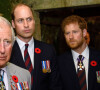 La dernière fois qu'ils s'étaient vus c'était lors des funérailles de la princesse Diana, en 1997.
Le prince Charles, prince de Galles, le prince William, duc de Cambridge et le prince Harry visitent les tunnels de Vimy lors des commémorations des 100 ans de la bataille de Vimy, (100 ans jour pour jour, le 9 avril 1917) dans laquelle de nombreux Canadiens ont trouvé la mort lors de la Première Guerre mondiale, au Mémorial national du Canada, à Vimy, France, le 9 avril 2017.