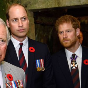 La dernière fois qu'ils s'étaient vus c'était lors des funérailles de la princesse Diana, en 1997.
Le prince Charles, prince de Galles, le prince William, duc de Cambridge et le prince Harry visitent les tunnels de Vimy lors des commémorations des 100 ans de la bataille de Vimy, (100 ans jour pour jour, le 9 avril 1917) dans laquelle de nombreux Canadiens ont trouvé la mort lors de la Première Guerre mondiale, au Mémorial national du Canada, à Vimy, France, le 9 avril 2017.