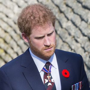 Le prince William, duc de Cambridge et le prince Harry visitent les tranchées de Vimy lors des commémorations des 100 ans de la bataille de Vimy, (100 ans jour pour jour, le 9 avril 1917) dans laquelle de nombreux Canadiens ont trouvé la mort lors de la Première Guerre mondiale, au Mémorial national du Canada, à Vimy, France, le 9 avril 2017.