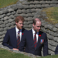 William et Harry : Révélations sur leur rencontre secrète et "très discrète" avec un ancien proche de Diana