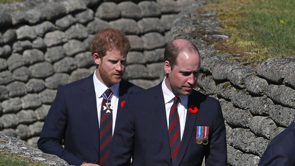 William et Harry : Révélations sur leur rencontre secrète et "très discrète" avec un ancien proche de Diana