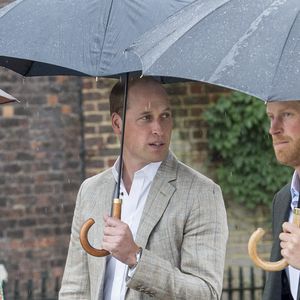 Il s'agit de l'ancien majordome de Lady Diana.
Le prince William et le prince Harry lors de la visite du Sunken Garden dédié à la mémoire de Lady Diana à Londres le 30 août 2017.