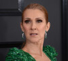 Elle est atteinte de la maladie de l'homme raide.
Celine Dion à la 59ème soirée annuelle des Grammy Awards au théâtre Microsoft à Los Angeles © Chris Delmas/Bestimage
