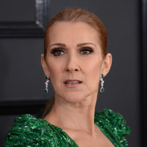 Elle est atteinte de la maladie de l'homme raide.
Celine Dion à la 59ème soirée annuelle des Grammy Awards au théâtre Microsoft à Los Angeles © Chris Delmas/Bestimage