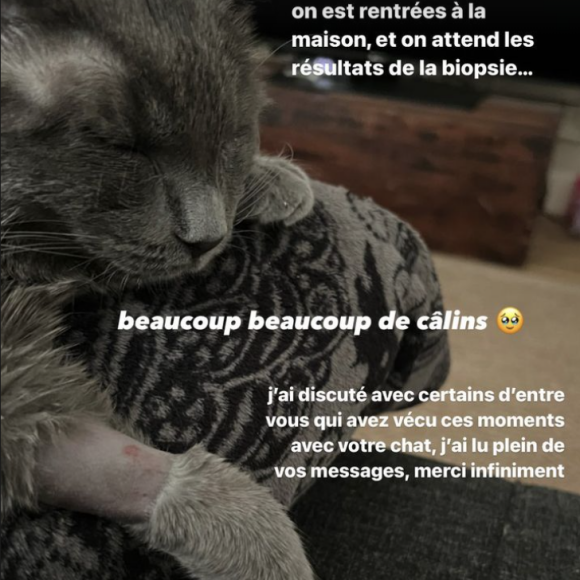 "On est rentrées à la maison et on attend les résultats de la biopsie", a-t-elle d'abord fait savoir, expliquant offrir "beaucoup beaucoup de câlins" à Mew.
Agathe Auproux donne des nouvelles de son chat Mew, chez qui une masse a été trouvée. Instagram