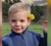 Cela fait un mois maintenant que le petit Émile, 2 ans et demi, a disparu dans le Haut-Vernet (Alpes-de-Haute-Provence), où ses grands-parents possèdent une maison. 
Capture d'écran BFM TV.