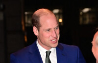 PHOTOS Le prince William garde le sourire, malgré la menace et le portrait au vitriol d'Omid Scobie