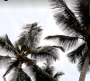  Palmiers, plages de sable fin, eau cristalline,... la comédienne semble passer du (très) bon temps avec son chéri sur l'île et dans leur suite.
Virginie Efira, Story Instagram