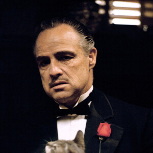 Inoubliable Vito Corleone dans Le Parrain Photo Alamy/ABACAPRESS.COM