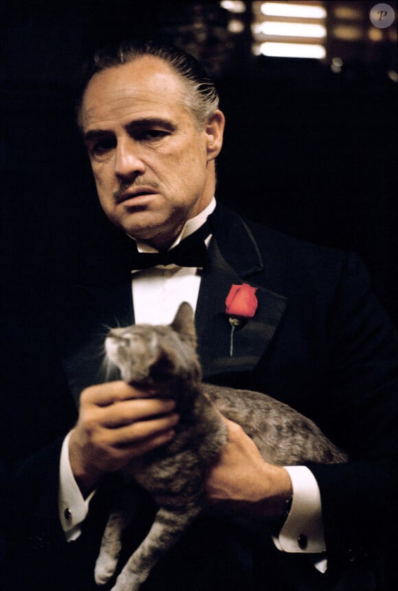 Inoubliable Vito Corleone dans Le Parrain Photo Alamy/ABACAPRESS.COM