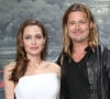 Les ex-tourtereaux se sont disputés la garde de leurs six enfants en plus de leur domaine niché dans le sud de la France.
Brad Pitt et Angelina Jolie a la premiere de "World War Z" a Berlin en Allemagne le 4 juin 2013.