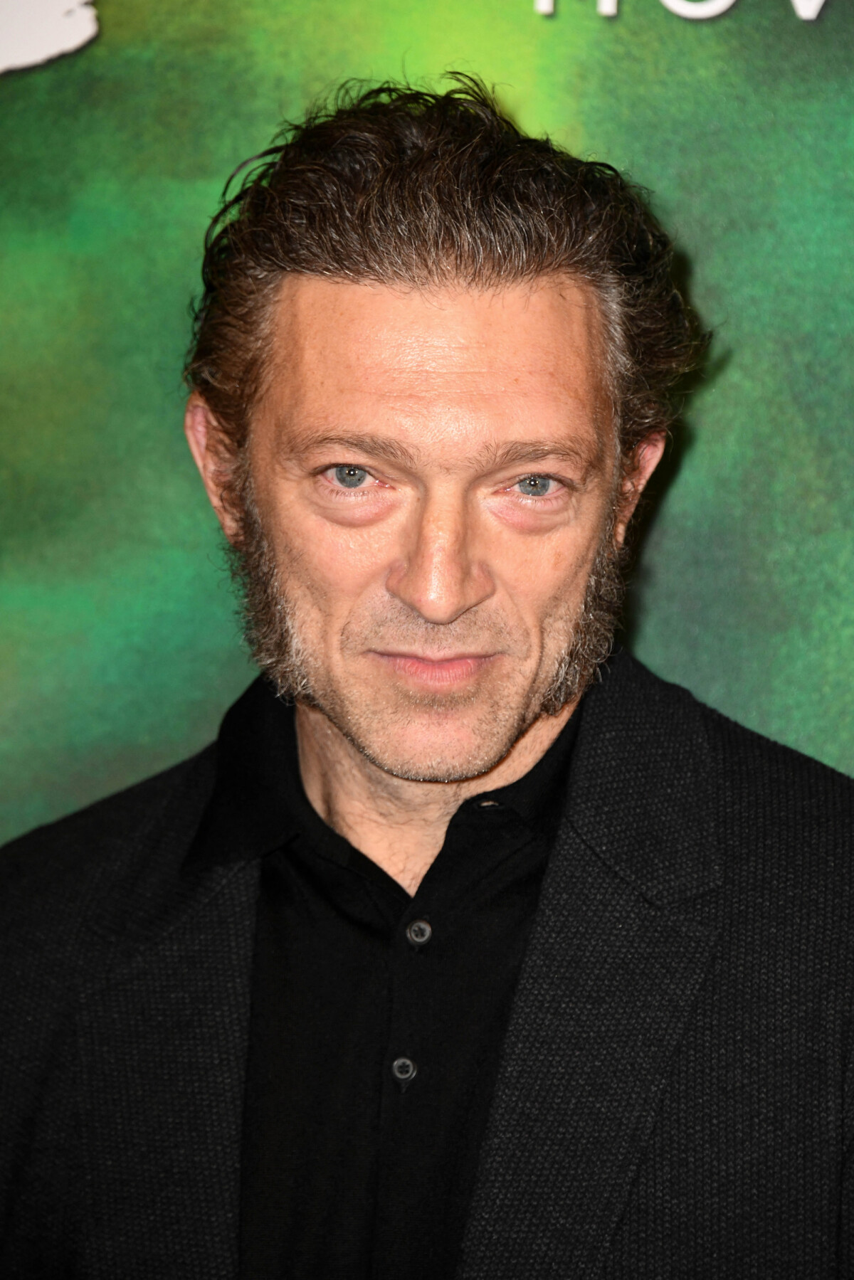 Photo : Vincent Cassel assiste à la première parisienne de Gauguin ...