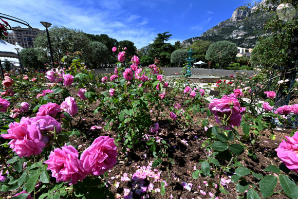 Le prince Albert II de Monaco et la princesse Caroline de Hanovre ont célébré les 40 ans d'existence de la Roseraie Princesse Grace, le 3 mai 2024, à Monaco. Créé en 1984 et rénové en 2014, ce jardin odorant est un hommage du Prince Rainier III à son épouse. Installé non loin du chapiteau de Fontvieille. Les 5000m² de cette roseraie, permettent de découvrir plus de 315 variétés de rosiers représentant 6000 pieds de rosiers, répartis en 7 thèmes. Toutes les opérations d'entretien ainsi que les animations proposées tout au long de l'année ont permis d'obtenir la labellisation Espace Végétal Ecologique (EVE) " ECOCERT " pour ce site. © Bruno Bebert / Bestimage 