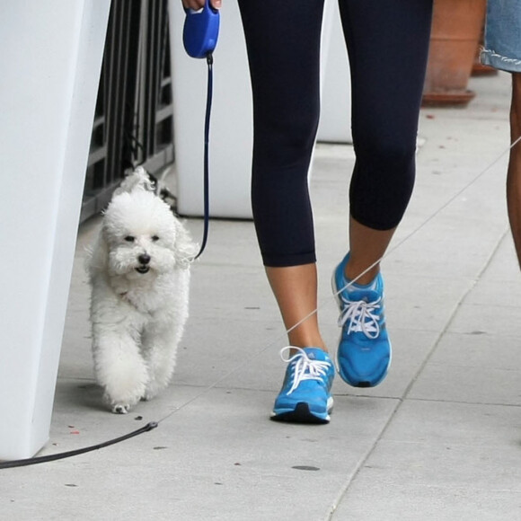 Exclusif - Novak Djokovic et sa femme Jelena Ristic promènent leurs chiens à West Hollywood, le 10 mars 2015.