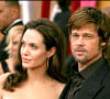 Après s'être mariés en 2014, Brad Pitt et Angelina Jolie se sont séparés deux ans plus tard
Brad Pitt et Angelina Jolie