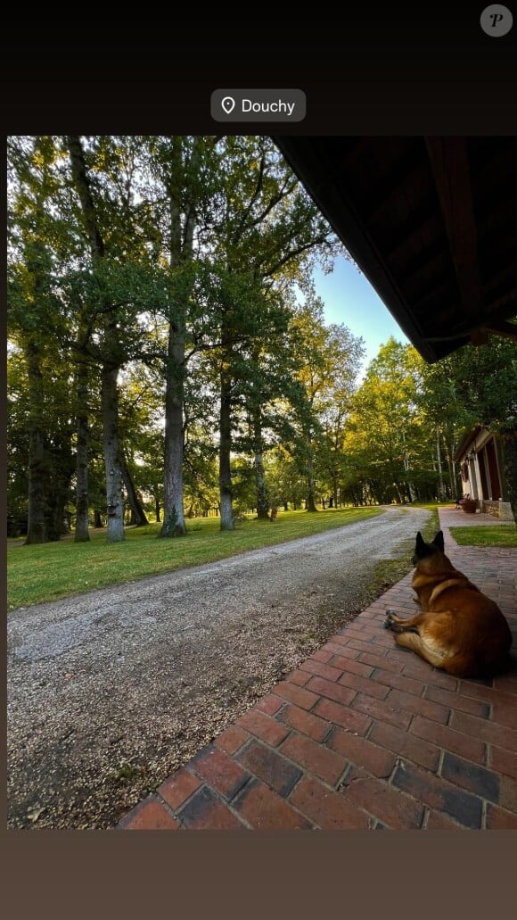 Anthony Delon partage une photo de l'intérieur du domaine de Douchy, où se trouve Loubo, le chien tant aimé de son père Alain Delon