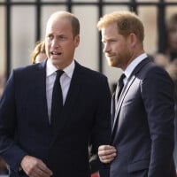 Harry et William : Les princes ennemis se sont retrouvés en Angleterre ! Les dessous de cette réunion très délicate