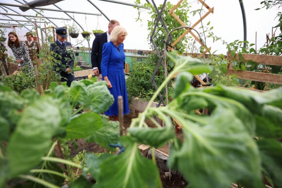 La Reine Camilla, Commodore honoraire de l'armée de l'air, visite les jardins familiaux lors de sa visite à la RAF Leeming, Northallerton, pour rencontrer les militaires et leurs familles et s'informer sur l'aide sociale qui leur est offerte, le vendredi 6 septembre 2024.
Photo par Phil Noble/PA Wire/ABACAPRESS.COM