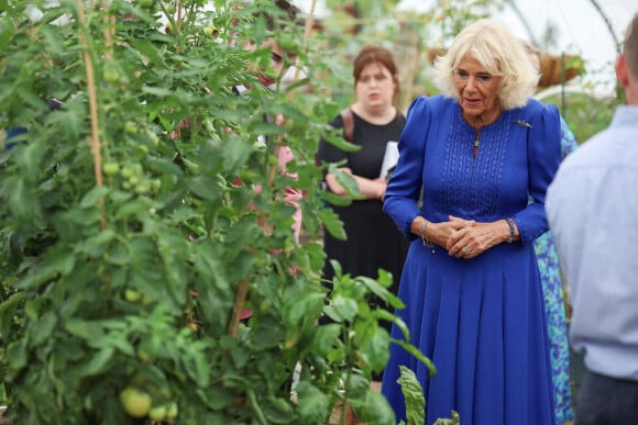 Mais qu'à cela ne tienne ! La belle-mère des princes William et Harry a visiblement été enchantée de son déplacement.
La Reine Camilla, Commodore honoraire de l'armée de l'air, visite les jardins familiaux lors de sa visite à la RAF Leeming, Northallerton, pour rencontrer les militaires et leurs familles et s'informer sur l'aide sociale qui leur est offerte, le vendredi 6 septembre 2024.
Photo par Phil Noble/PA Wire/ABACAPRESS.COM