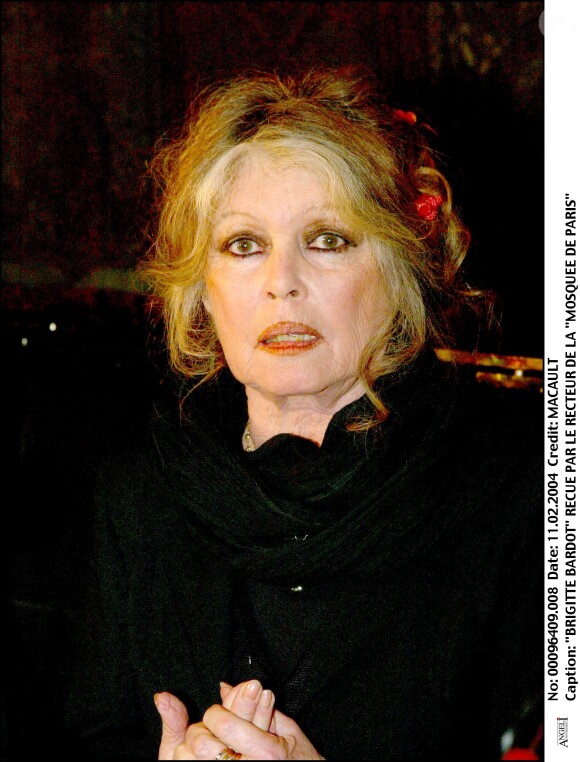 Brigitte Bardot reçue par le recteur de la Mosquée de Paris en 2004
 