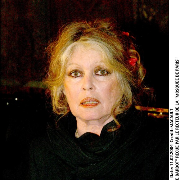 Brigitte Bardot reçue par le recteur de la Mosquée de Paris en 2004
 
