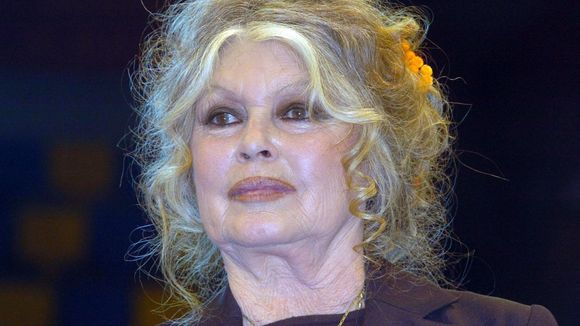 Brigitte Bardot : Ce que l'on sait de la fortune et du patrimoine de l'actrice