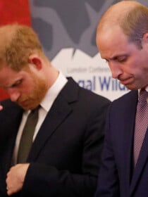 Harry et William n'étaient pas les petits-enfants préférés d'Elizabeth II ! Face à leur rivale, ils ne faisaient pas le poids...