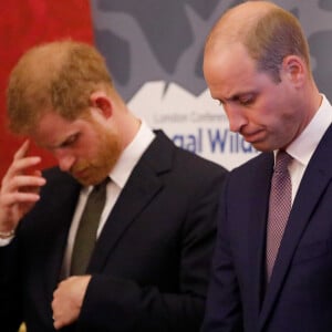 William et Harry ont eu une place de chouchous dans le coeur de leur grand-mère Elizabeth II
Le prince William, duc de Cambridge, et le prince Harry, duc de Sussex, lors de la conférence "Illegal Wildlife Trade" au palais St James à Londres.