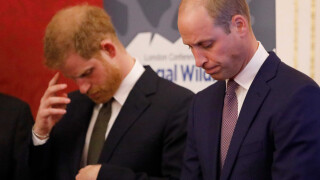 Harry et William n'étaient pas les petits-enfants préférés d'Elizabeth II ! Face à leur rivale, ils ne faisaient pas le poids...