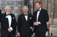 Une question de survie ? Les contacts entre Charles III et le prince Harry sont surveillés par Camilla...