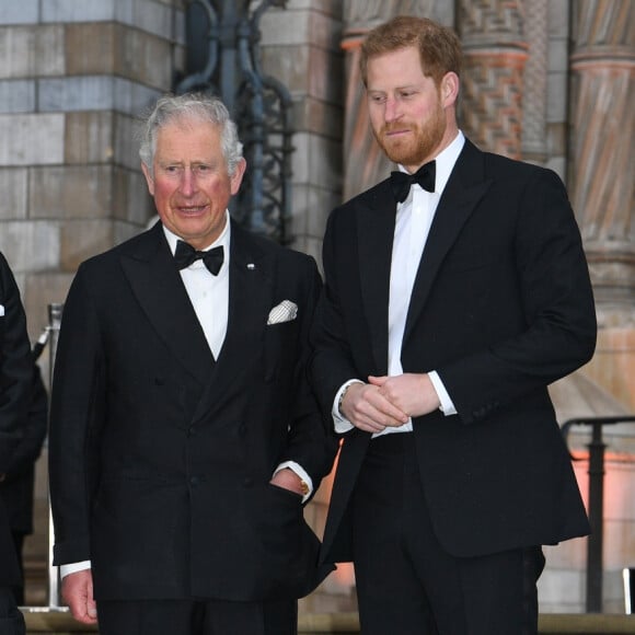 Depuis le Megxit, le prince Harry s'est mis à dos plusieurs membres du clan Windsor.
Le prince William, duc de Cambridge, Sir David Attenborough, le prince Charles, prince de Galles, le prince Harry, duc de Sussex, à la première de la série Netflix "Our Planet" au Musée d'Histoires Naturelles à Londres.