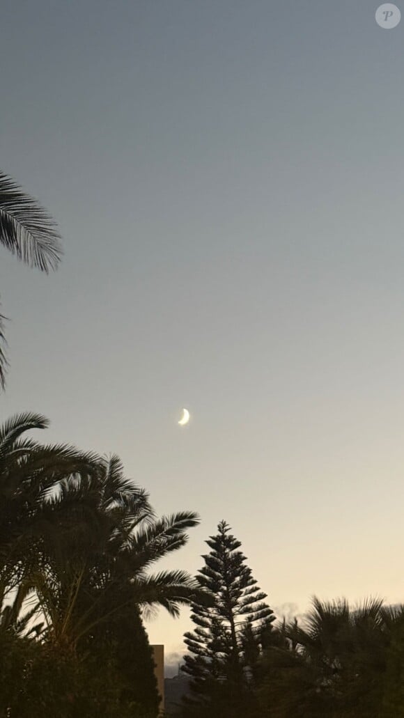 Et de la douce température du pays
Alain-Fabien Delon en vacances en Grèce, Instagram.